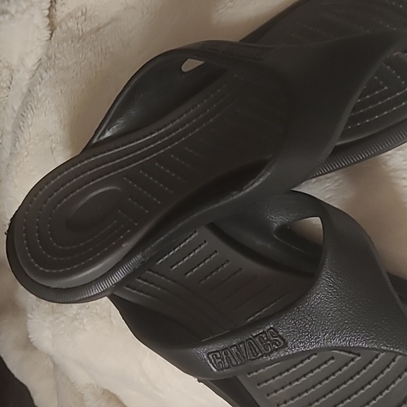 CANDES Slides - Picture 6 of 11